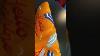 Look At The Latest Special Edition Scotty Cameron My Girl Putter Say Hello Sunshine