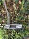 SCOTTY CAMERON TITLEIST CALIFORNIA MONTEREY Putter NO HEAD COVER Used 33