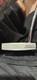 Scotty Cameron Phantom 11.5 Putter Right Handed 35 inch