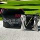 Titleist Scotty Cameron Phantom X 12 Putter Right Hand Steel Golf Club 35
